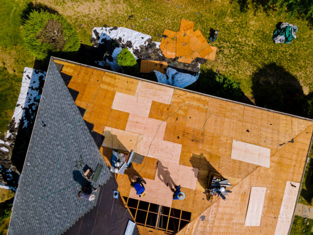Best Affordable Roof Replacement  in Harrodsburg, KY
