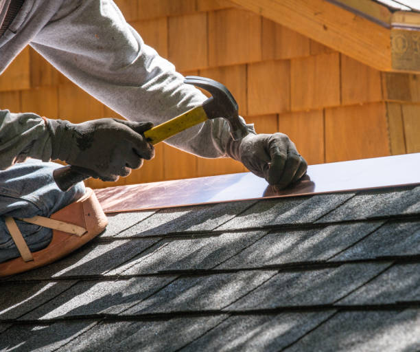 Best Roof Gutter Cleaning  in Harrodsburg, KY